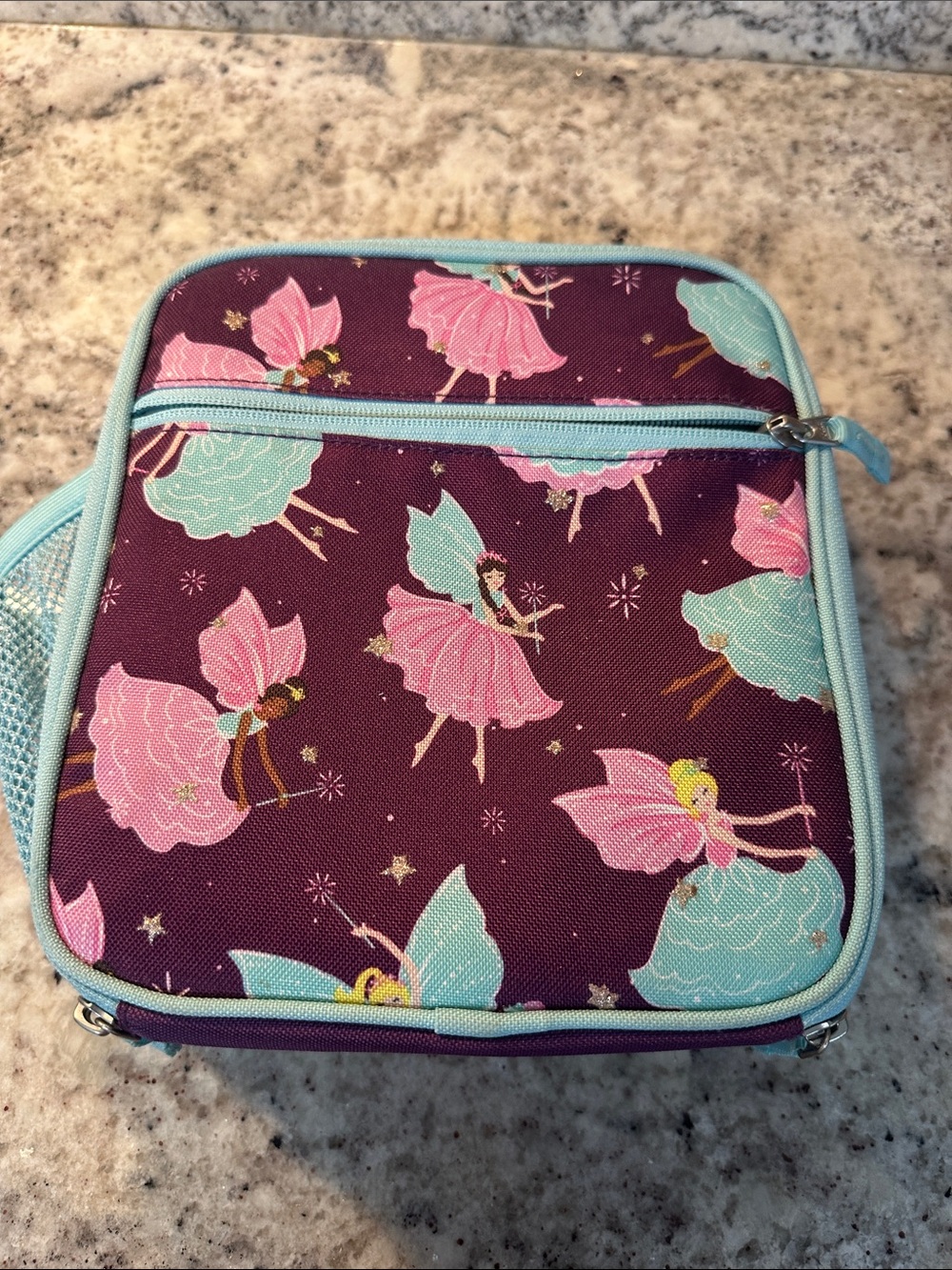 Pottery Barn Fairy Print Lunch Bag - Purple with Aqua Trim